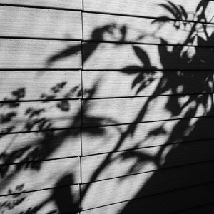 性欧美精品❌❌❌❌❌动漫
